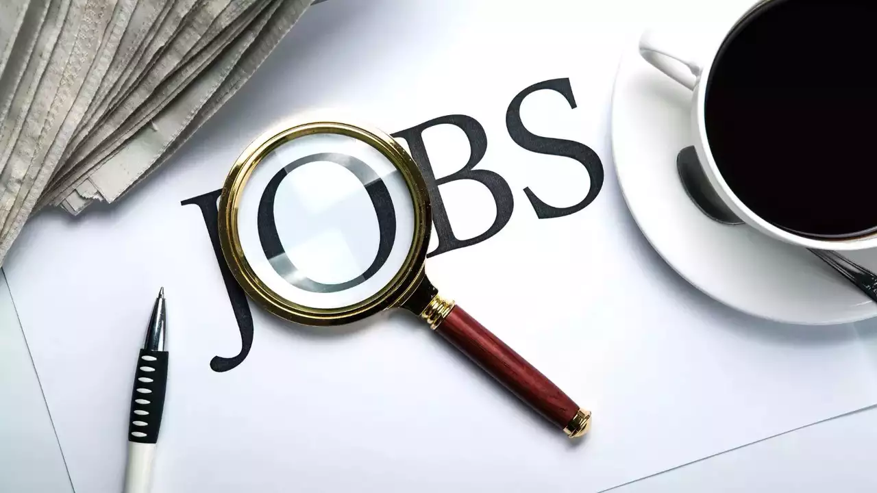 May Jobs 2025: Job opportunities in India, know which jobs are available in which city