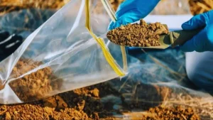 Why is soil testing important? Things farmers should know
