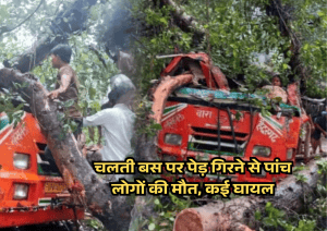 Major road accident in Barabanki: Five people killed, many injured as tree falls on moving bus