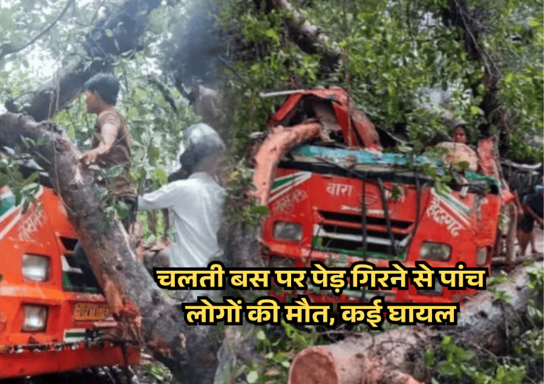 Major road accident in Barabanki: Five people killed, many injured as tree falls on moving bus