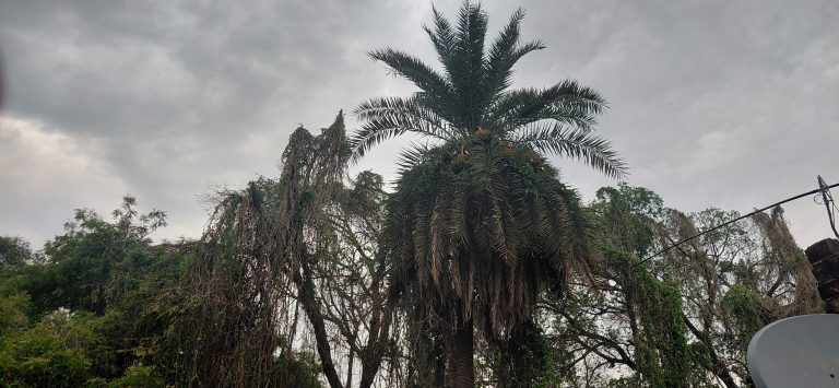 Lucknow: Rain brings relief from scorching heat