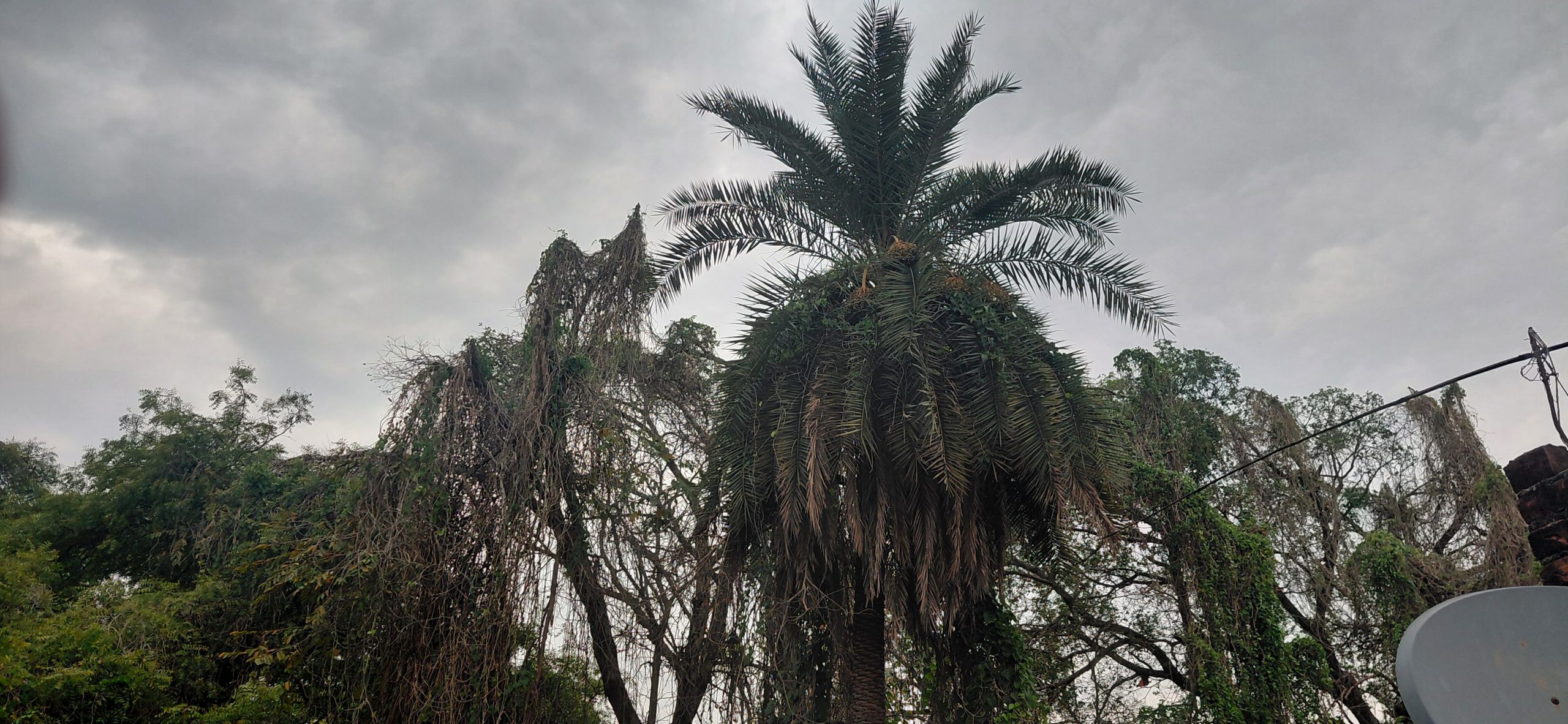 Lucknow: Rain brings relief from scorching heat