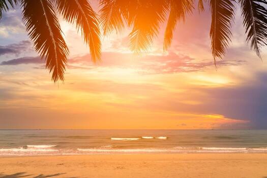 beautiful-sunset-over-the-sea-with-coconut-tree-at-summer-time-photo