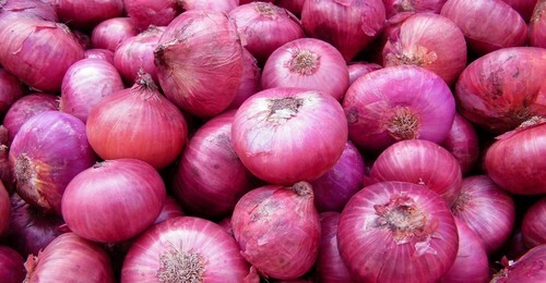 fresh-onion-pyaaz-contains-rich-antioxidants-vitamins-and-minerals-453